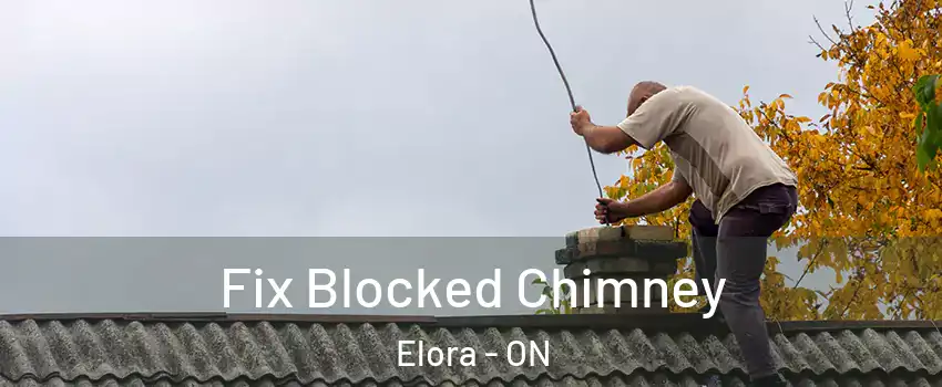  Fix Blocked Chimney Elora - ON