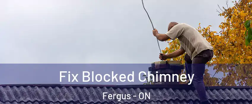  Fix Blocked Chimney Fergus - ON