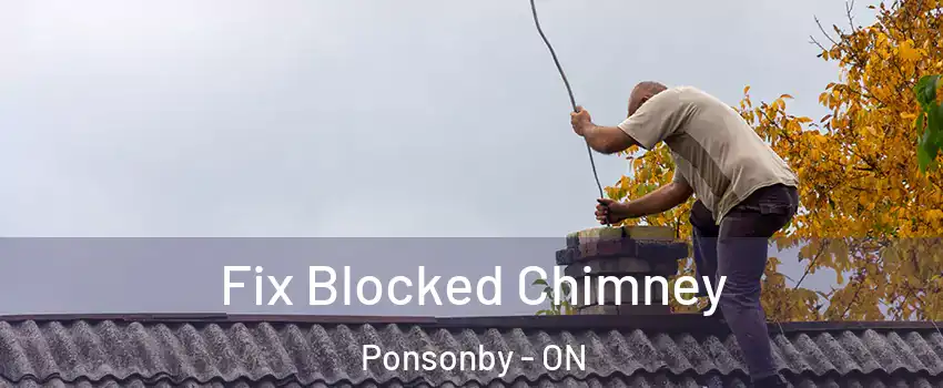  Fix Blocked Chimney Ponsonby - ON