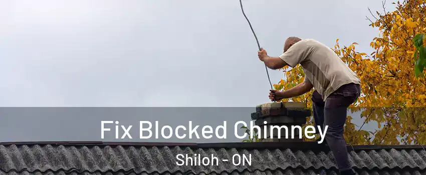  Fix Blocked Chimney Shiloh - ON