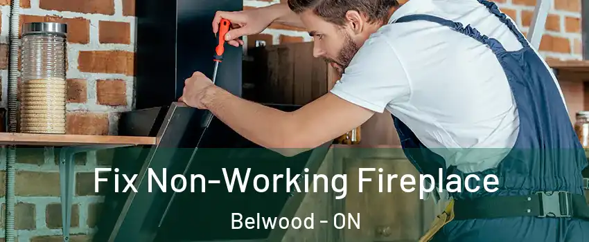  Fix Non-Working Fireplace Belwood - ON