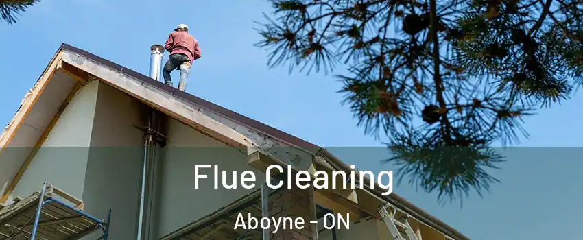  Flue Cleaning Aboyne - ON