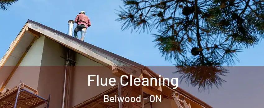  Flue Cleaning Belwood - ON