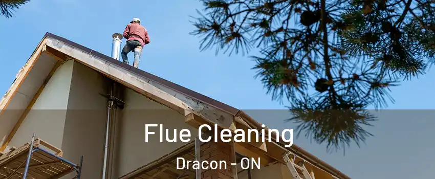  Flue Cleaning Dracon - ON