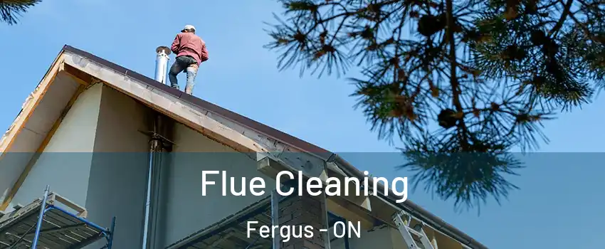  Flue Cleaning Fergus - ON