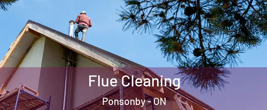  Flue Cleaning Ponsonby - ON