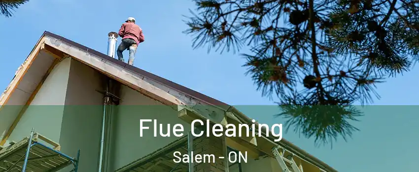  Flue Cleaning Salem - ON