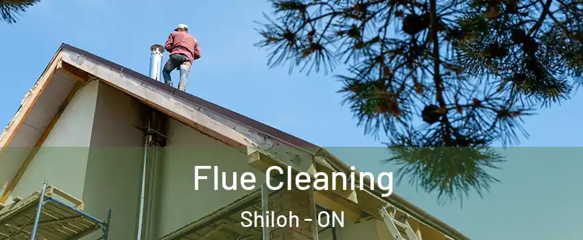  Flue Cleaning Shiloh - ON