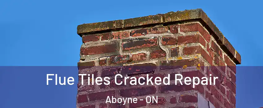  Flue Tiles Cracked Repair Aboyne - ON
