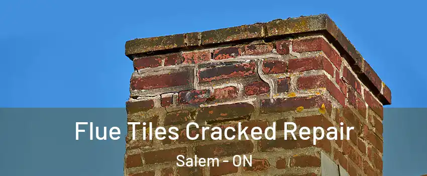  Flue Tiles Cracked Repair Salem - ON