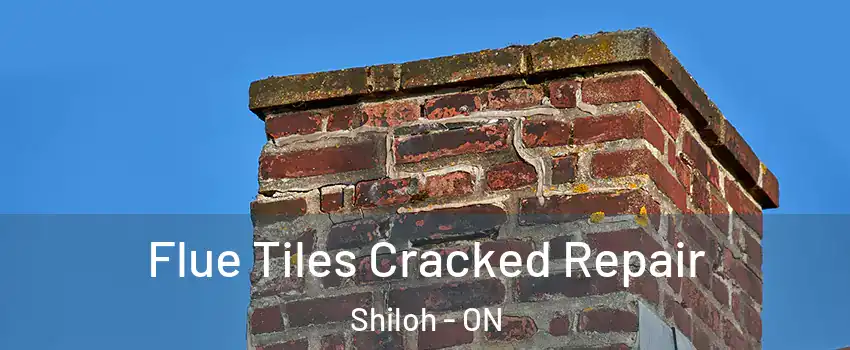 Flue Tiles Cracked Repair Shiloh - ON