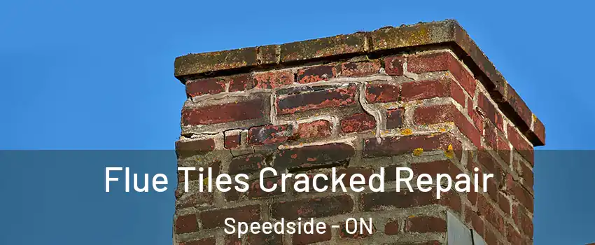  Flue Tiles Cracked Repair Speedside - ON