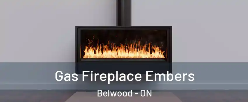  Gas Fireplace Embers Belwood - ON