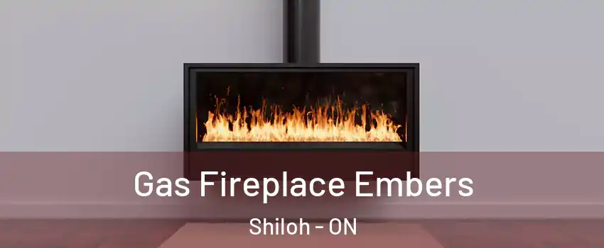 Gas Fireplace Embers Shiloh - ON