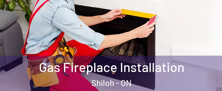  Gas Fireplace Installation Shiloh - ON