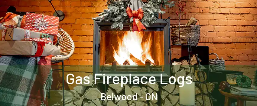  Gas Fireplace Logs Belwood - ON
