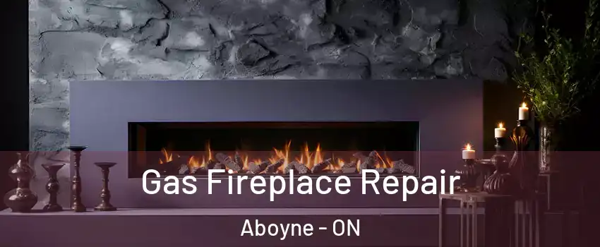  Gas Fireplace Repair Aboyne - ON