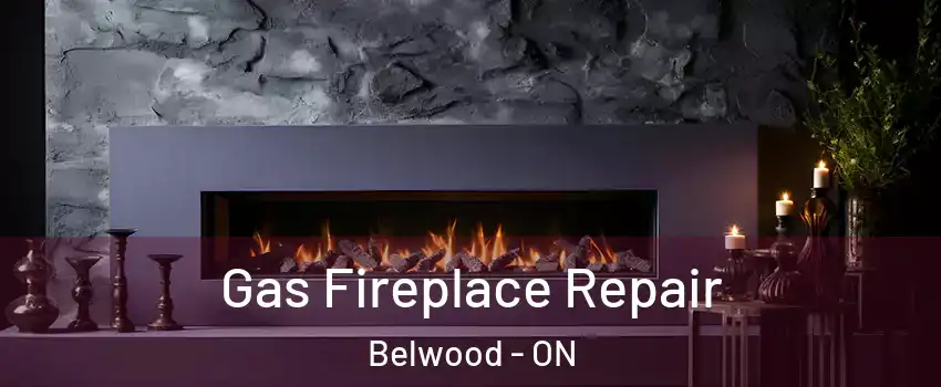  Gas Fireplace Repair Belwood - ON
