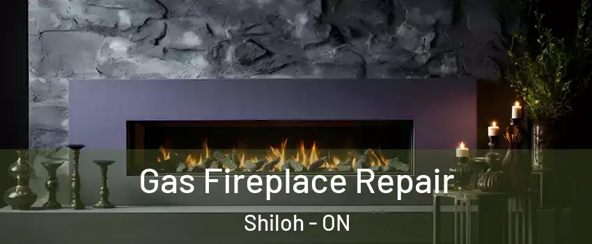  Gas Fireplace Repair Shiloh - ON