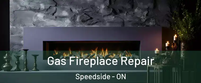  Gas Fireplace Repair Speedside - ON