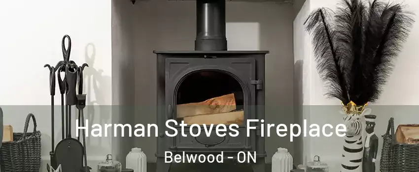  Harman Stoves Fireplace Belwood - ON