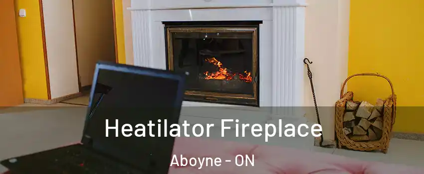  Heatilator Fireplace Aboyne - ON