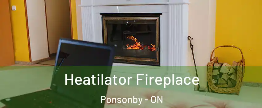  Heatilator Fireplace Ponsonby - ON