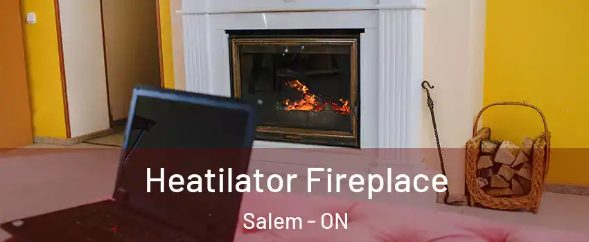  Heatilator Fireplace Salem - ON