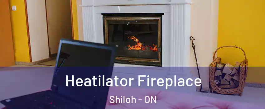  Heatilator Fireplace Shiloh - ON