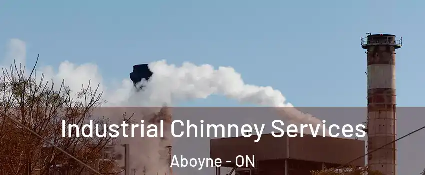  Industrial Chimney Services Aboyne - ON