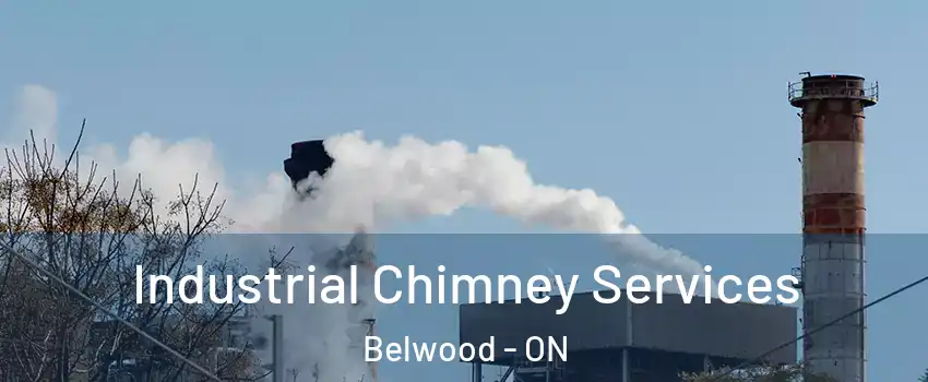  Industrial Chimney Services Belwood - ON