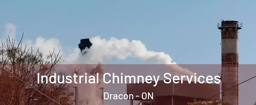  Industrial Chimney Services Dracon - ON