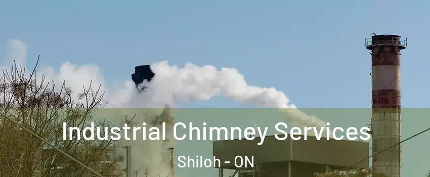 Industrial Chimney Services Shiloh - ON