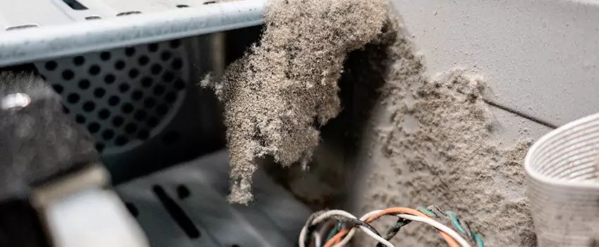 Clogged Dryer Vent Lint Cleaning in Fergus, Ontario