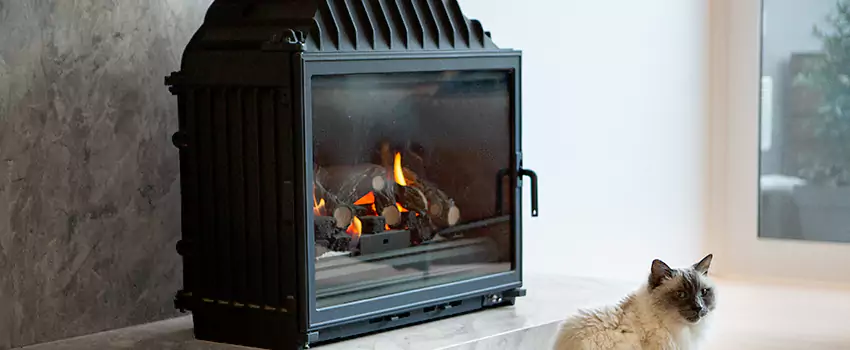 Fireplace Damaged Damper Frame Repair Services in Salem, Ontario