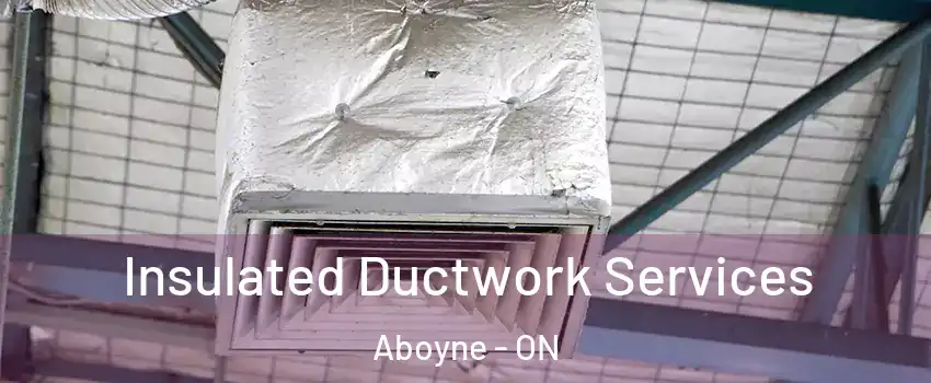  Insulated Ductwork Services Aboyne - ON