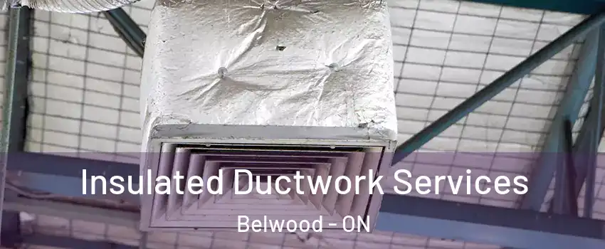  Insulated Ductwork Services Belwood - ON