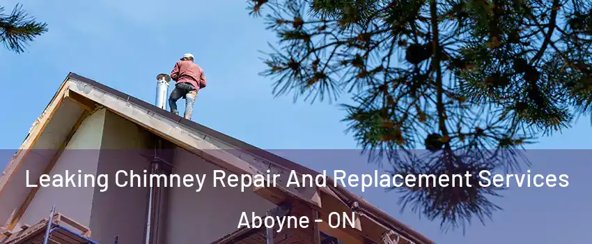  Leaking Chimney Repair And Replacement Services Aboyne - ON