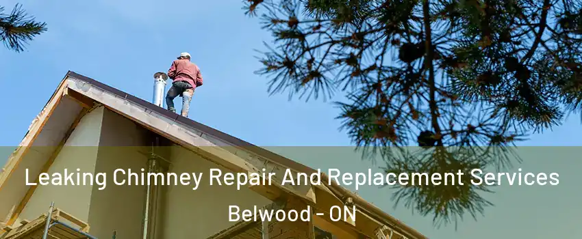  Leaking Chimney Repair And Replacement Services Belwood - ON