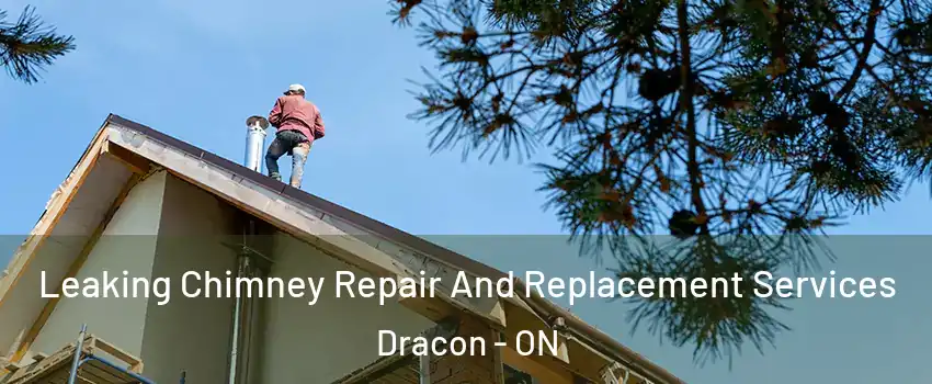  Leaking Chimney Repair And Replacement Services Dracon - ON