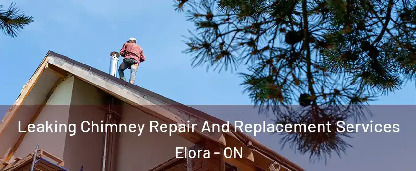  Leaking Chimney Repair And Replacement Services Elora - ON