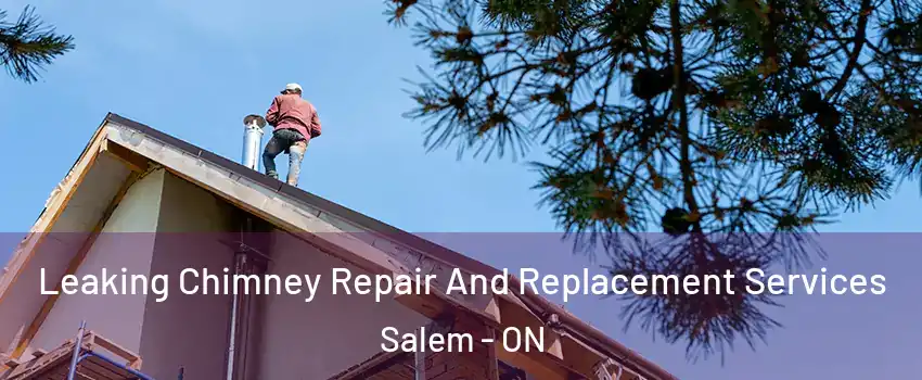  Leaking Chimney Repair And Replacement Services Salem - ON