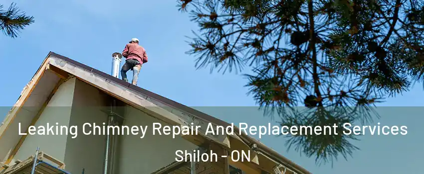  Leaking Chimney Repair And Replacement Services Shiloh - ON