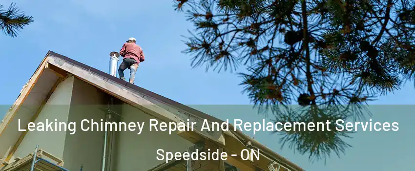  Leaking Chimney Repair And Replacement Services Speedside - ON