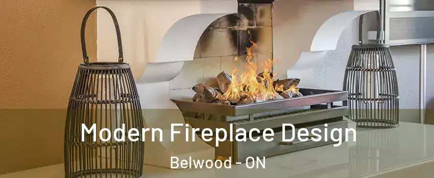  Modern Fireplace Design Belwood - ON
