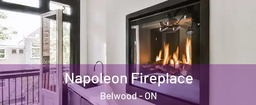  Napoleon Fireplace Belwood - ON