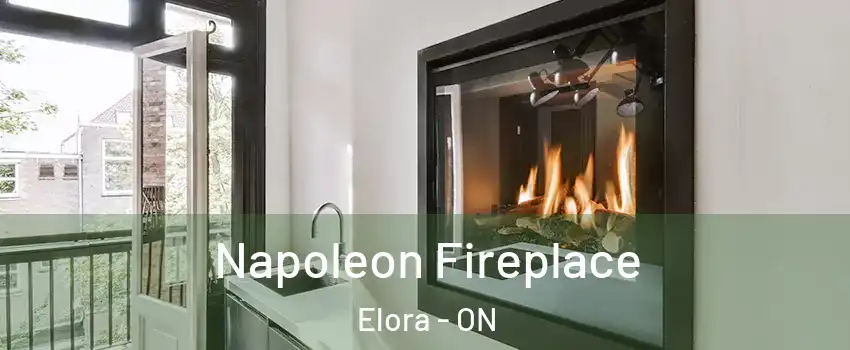 Napoleon Fireplace Elora - ON