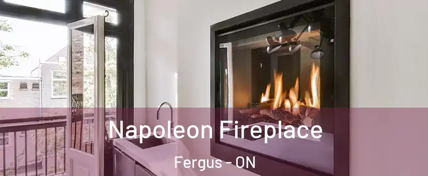  Napoleon Fireplace Fergus - ON