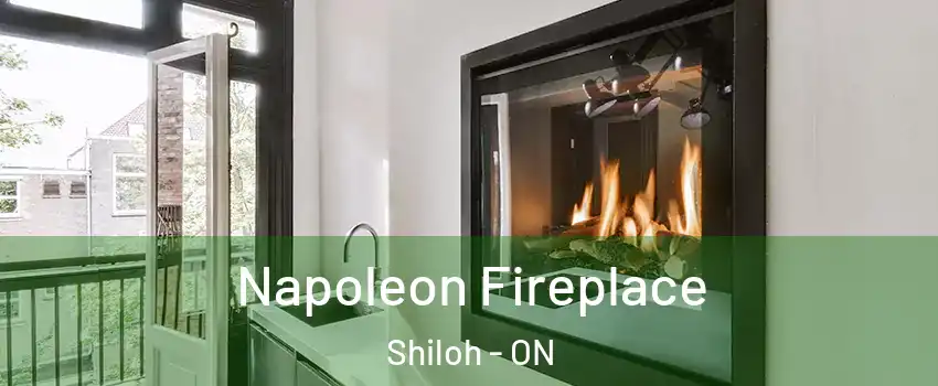  Napoleon Fireplace Shiloh - ON