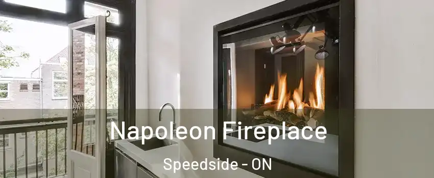  Napoleon Fireplace Speedside - ON